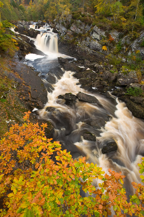 Rogie falls in autumn. Highland, Scotland. October. 